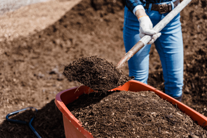 Use the App to Schedule Pickup