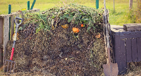 compost colume